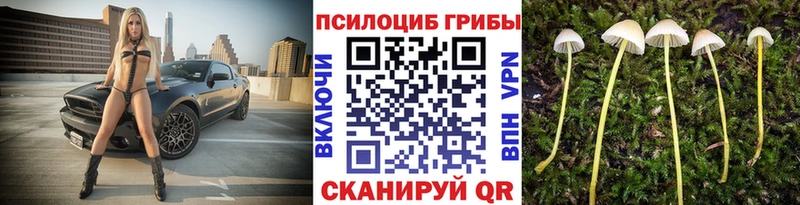 Псилоцибиновые грибы ЛСД  Новомосковск 