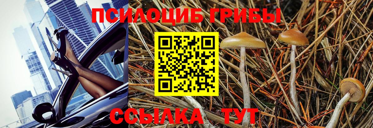 Галлюциногенные грибы Psilocybe  Вход с VPN  Новомосковск 